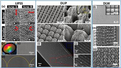 Bioinspired Superhydrophobic Surfaces via Laser-Structuring